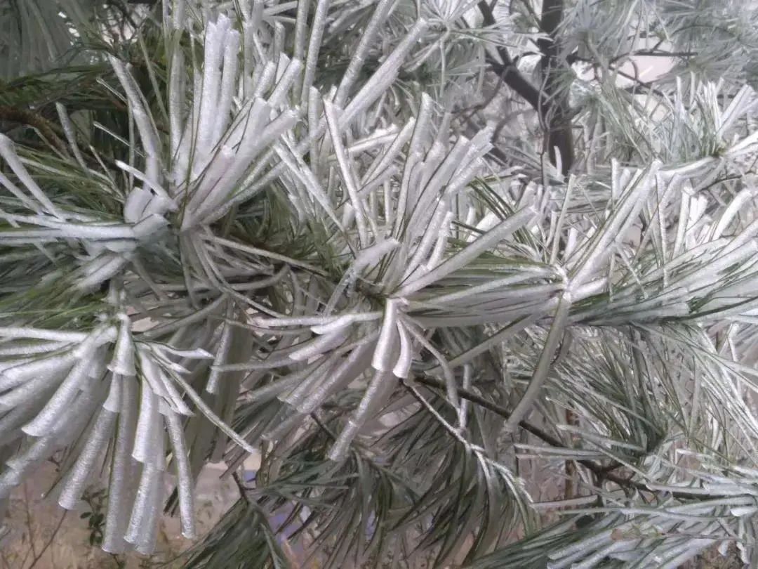 室外大雪紛飛，室內(nèi)溫暖如春，這種爐子取暖簡直給力！